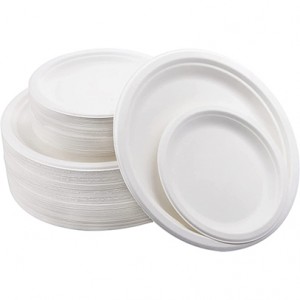 Dinner plate